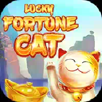 Lucky Fortune Cat